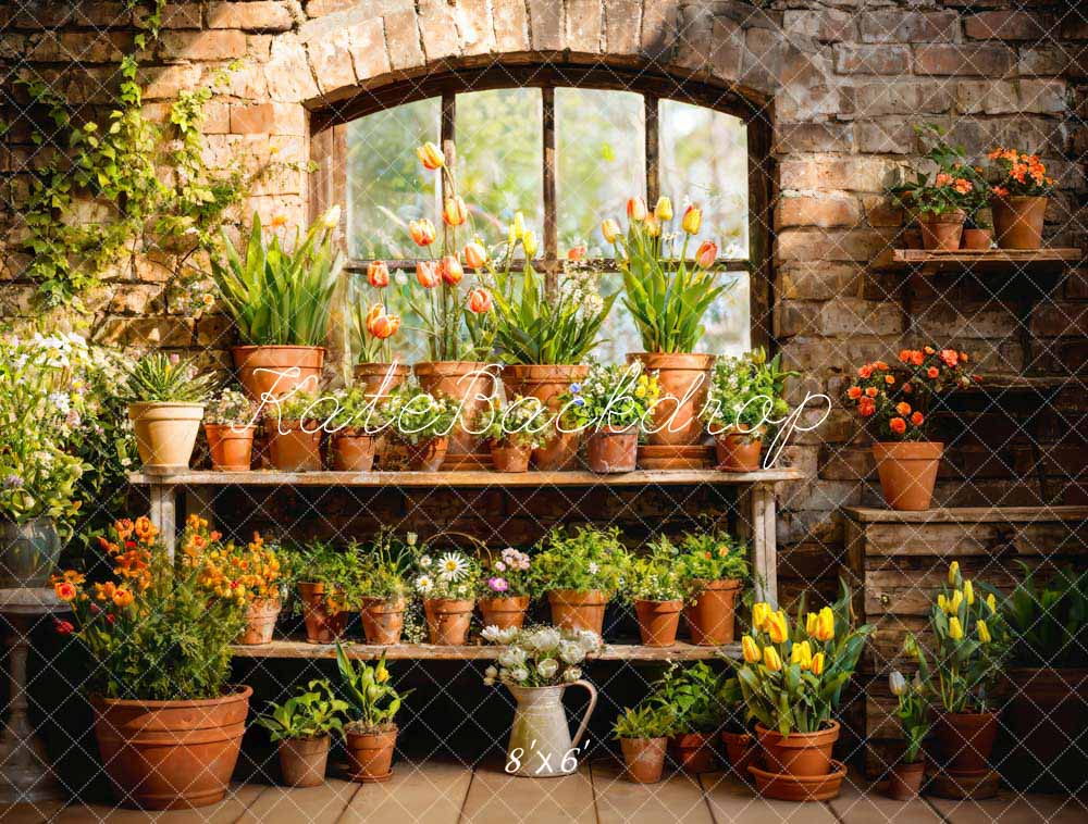 Kate Printemps Plante en pot Vert Fenêtre Ensoleillé Toile de fond conçue par Emetselch - Kate Backdrop FR