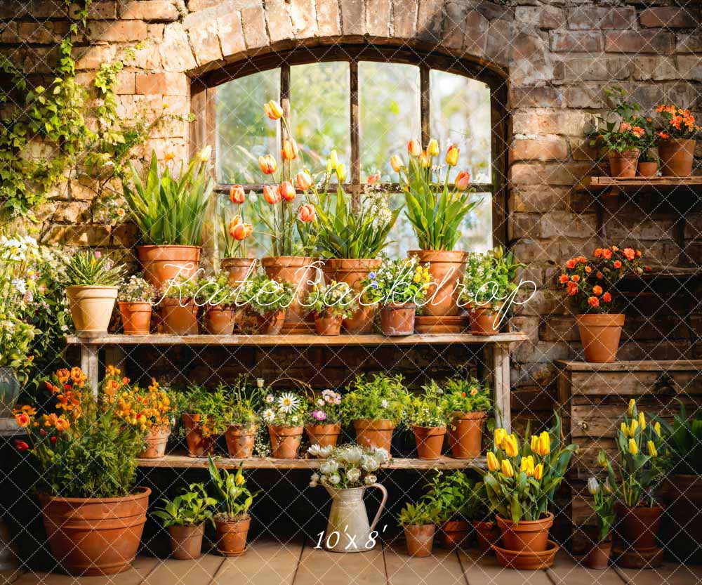 Kate Printemps Plante en pot Vert Fenêtre Ensoleillé Toile de fond conçue par Emetselch - Kate Backdrop FR