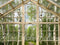 Kate Serre vide Bouleau Printemps Toile de fond conçue par Mini MakeBelieve - Kate Backdrop FR