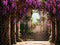 Kate Glycine Porte en arc Arbre Escaliers Toile de fond conçue par Chain Photographie - Kate Backdrop FR