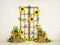 Kate Été Tournesol Jaune Porte en bois Toile de fond conçue par Emetselch - Kate Backdrop FR