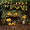 Kate Été Citron Entrepôt Toile de fond conçue par Emetselch - Kate Backdrop FR