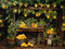 Kate Été Citron Entrepôt Toile de fond conçue par Emetselch - Kate Backdrop FR