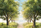 Kate Printemps Arbres Vert Herbe Chemin Toile de fond conçue par Chain Photographie - Kate Backdrop FR