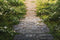 Kate Printemps Vert Herbe Route en briques Sol Toile de fond conçue par Chain Photographie - Kate Backdrop FR