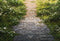 Kate Printemps Vert Herbe Route en briques Sol Toile de fond conçue par Chain Photographie - Kate Backdrop FR