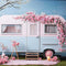 Kate Saint Valentin Fleurs roses VR Bleu Toile de fond conçue par Chain Photographie - Kate Backdrop FR