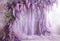 Kate Printemps Glycine fraîche Rideau Violet Toile de fond conçue par Emetselch - Kate Backdrop FR