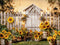 Kate Été Tournesol Clôture en bois Toile de fond conçue par Chain Photographie - Kate Backdrop FR