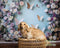 Kate Arche Florale Papillon Violet Toile de fond conçue par Mini MakeBelieve - Kate Backdrop FR