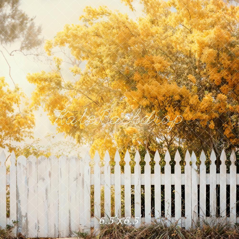 Kate Automne Arbres Doré Clôture Toile de fond conçue par Chain Photographie