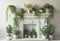 Kate Printemps Verdure Blanc Cheminée Toile de fond conçue par Emetselch - Kate Backdrop FR