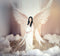 Kate Blanc Aile d'ange Rideaux Toile de fond conçue par Chain Photographie - Kate Backdrop FR