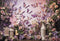 Kate Printemps Rose et Violet Fleurs Papillon Toile de fond conçue par Emetselch - Kate Backdrop FR