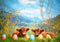 Kate Bovins Highland Printemps Pâques Toile de fond conçue par Patty Robert - Kate Backdrop FR
