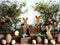 Kate Lapins en bois Pâques Œufs Toile de fond conçue par Patty Robert - Kate Backdrop FR