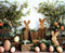Kate Lapins en bois Pâques Œufs Toile de fond conçue par Patty Robert - Kate Backdrop FR