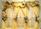 Kate Jaune Garde-robe Intérieur Toile de fond conçue par Patty Robert - Kate Backdrop FR
