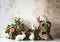 Kate Lapins à queue blanche Pâques Toile de fond conçue par Patty Robert - Kate Backdrop FR
