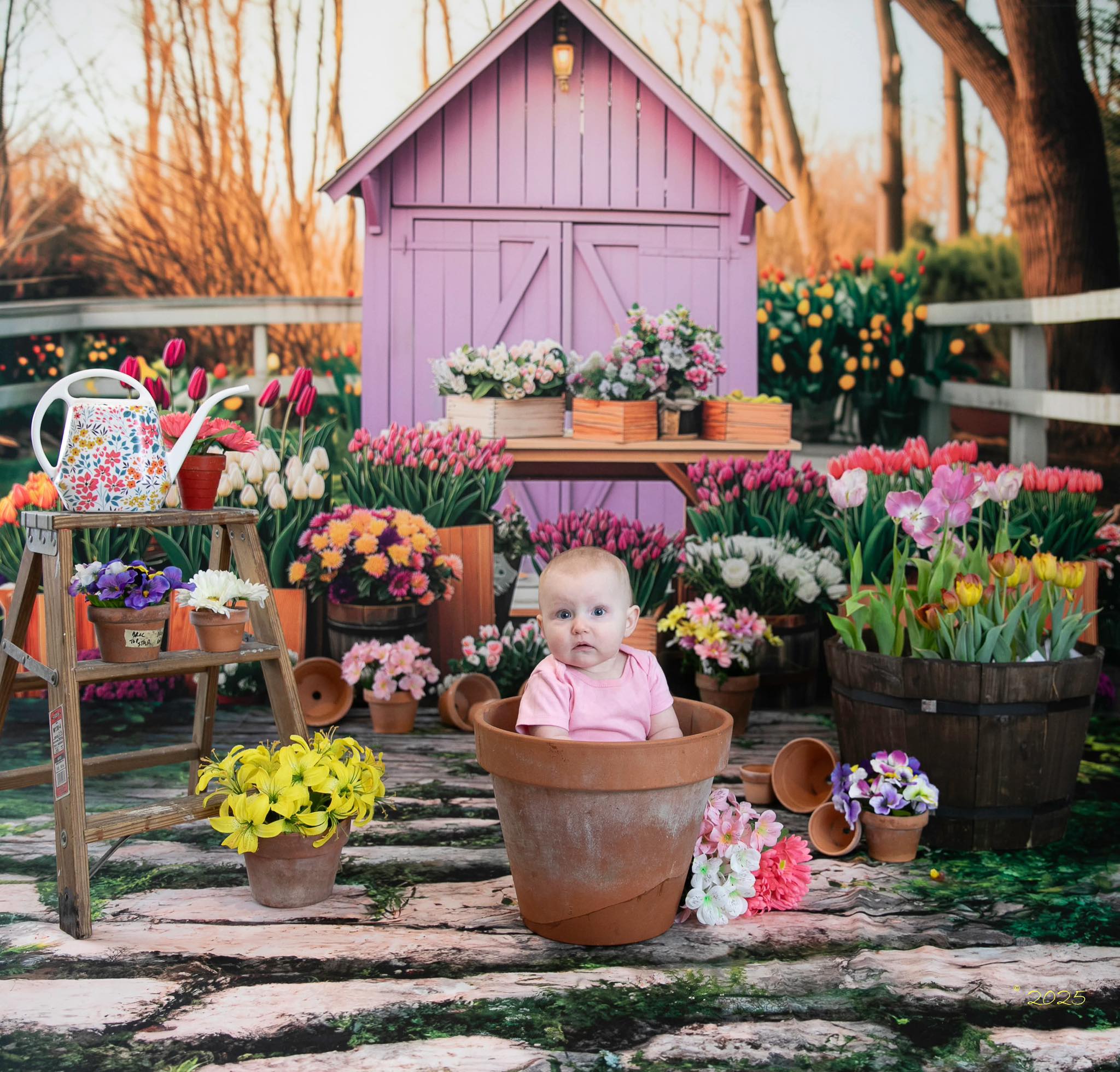 Kate Printemps Serre Tulipes Fleurs Toile de fond conçue par Patty Roberts