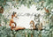 Kate Renard-ET-Amis Conte de fées Toile de fond conçue par Laura Bybee - Kate Backdrop FR