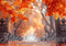Kate Extérieur Automne Portail Érable Rouge Toile de fond conçue par Mini MakeBelieve - Kate Backdrop FR