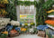 Kate Intérieur Fenêtre Fleurs Plantes Toile de fond conçue par Mini MakeBelieve - Kate Backdrop FR
