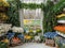 Kate Intérieur Fenêtre Fleurs Plantes Toile de fond conçue par Mini MakeBelieve - Kate Backdrop FR