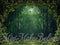 Kate Nature Mur Vert Forêt Arbres Toile de fond conçue par Mini MakeBelieve - Kate Backdrop FR