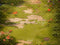 Kate Printemps Champignon Forêt Prairie Sol Toile de fond conçue par Kate Image - Kate Backdrop FR