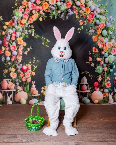 Kate Pâques Œufs Arche Lapin Toile de fond conçue par Lidia Redekopp - Kate Backdrop FR