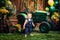 Kate Été Tournesols Vert Ballon Tracteur Toile de fond conçue par Emetselch - Kate Backdrop FR