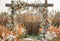 Kate Printemps Herbe Roseau Fleur Arche en bois Toile de fond conçue par Emetselch - Kate Backdrop FR