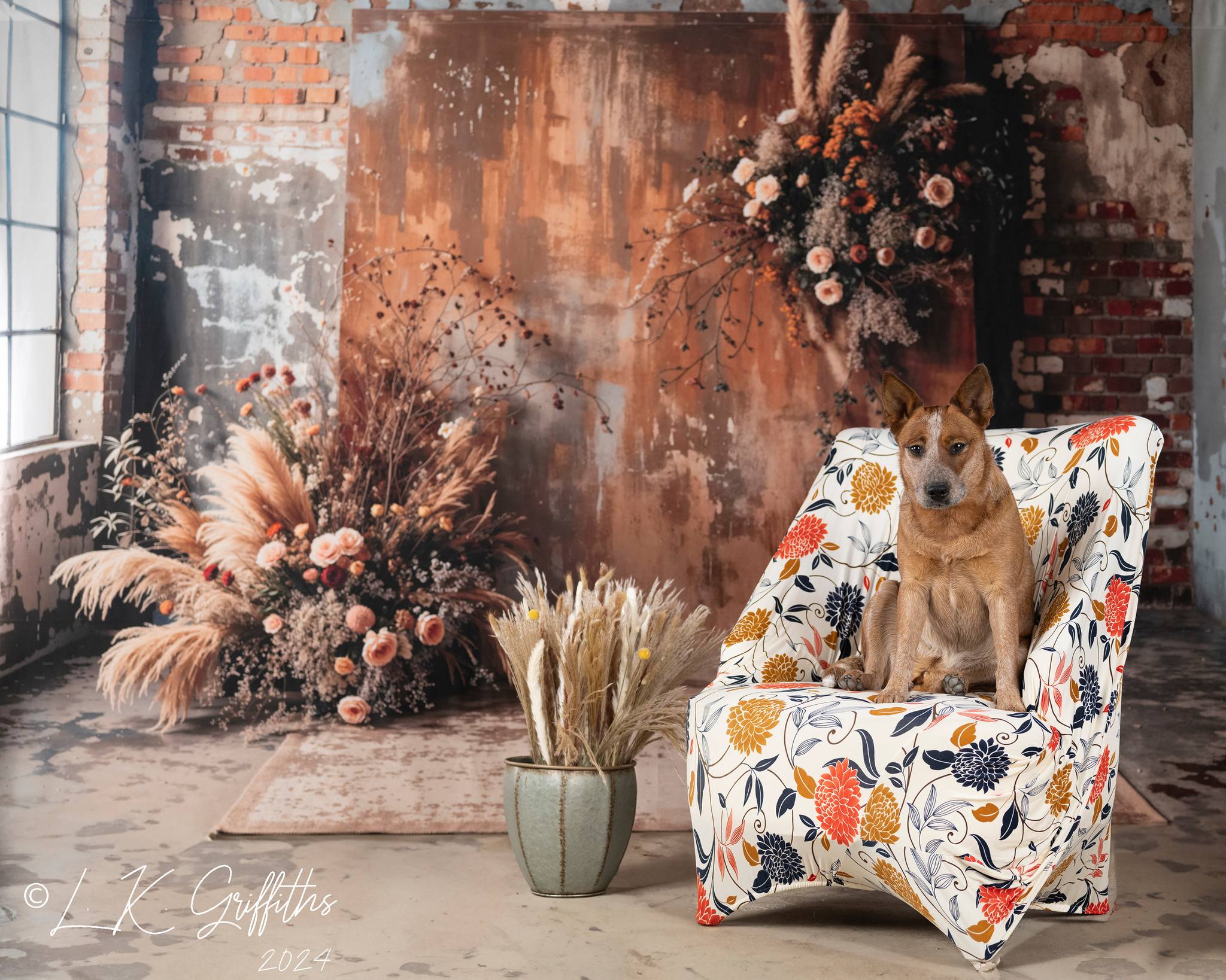 Kate Bohème Fleur séchée Vieux Brique Roseau Toile de fond conçue par Emetselch - Kate Backdrop FR