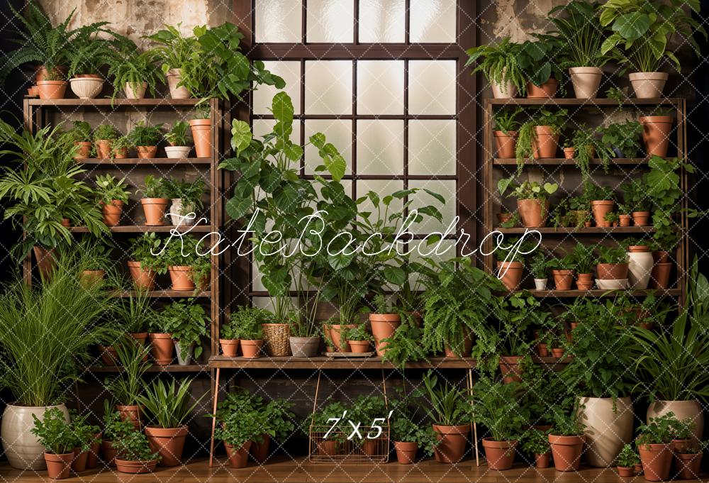 Kate Printemps Intérieur Plantes vertes Fenêtre Toile de fond conçue par Emetselch