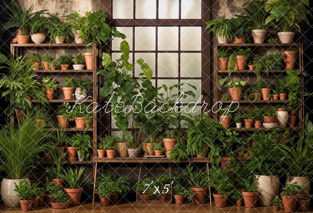 Kate Printemps Intérieur Plantes vertes Fenêtre Toile de fond conçue par Emetselch - Kate Backdrop FR