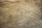 Kate Texture Marron Sol en ciment Toile de fond conçue par Kate Image - Kate Backdrop FR