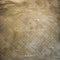Kate Texture Marron Sol en ciment Toile de fond conçue par Kate Image - Kate Backdrop FR