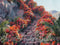 Kate Tropical Escaliers en pierre Fleurs Rouge Toile de fond conçue par Mini MakeBelieve - Kate Backdrop FR