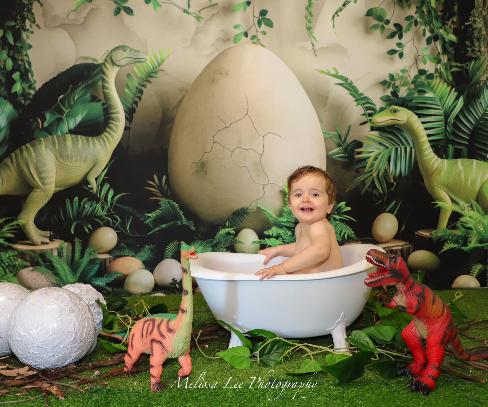 Kate Plante verte Dinosaure Œufs Cadre Toile de fond conçue par Patty Robert - Kate Backdrop FR