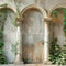 Kate Printemps Plante verte Beige Arche Mur Ancien Toile de fond conçue par Emetselch - Kate Backdrop FR