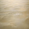 Kate Été Beige Plage de sable Sol Toile de fond conçue par Kate Image - Kate Backdrop FR