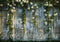 Kate Extérieur Printemps Fleur Fenêtre Toile de fond conçue par Mini MakeBelieve - Kate Backdrop FR