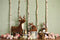 Kate Vert sauge Printemps Forêt Animaux Toile de fond conçue par Mandy Ringe - Kate Backdrop FR