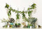 Kate Simple Printemps Fleurs sauvages Plantes Toile de fond conçue par Mandy Ringe - Kate Backdrop FR
