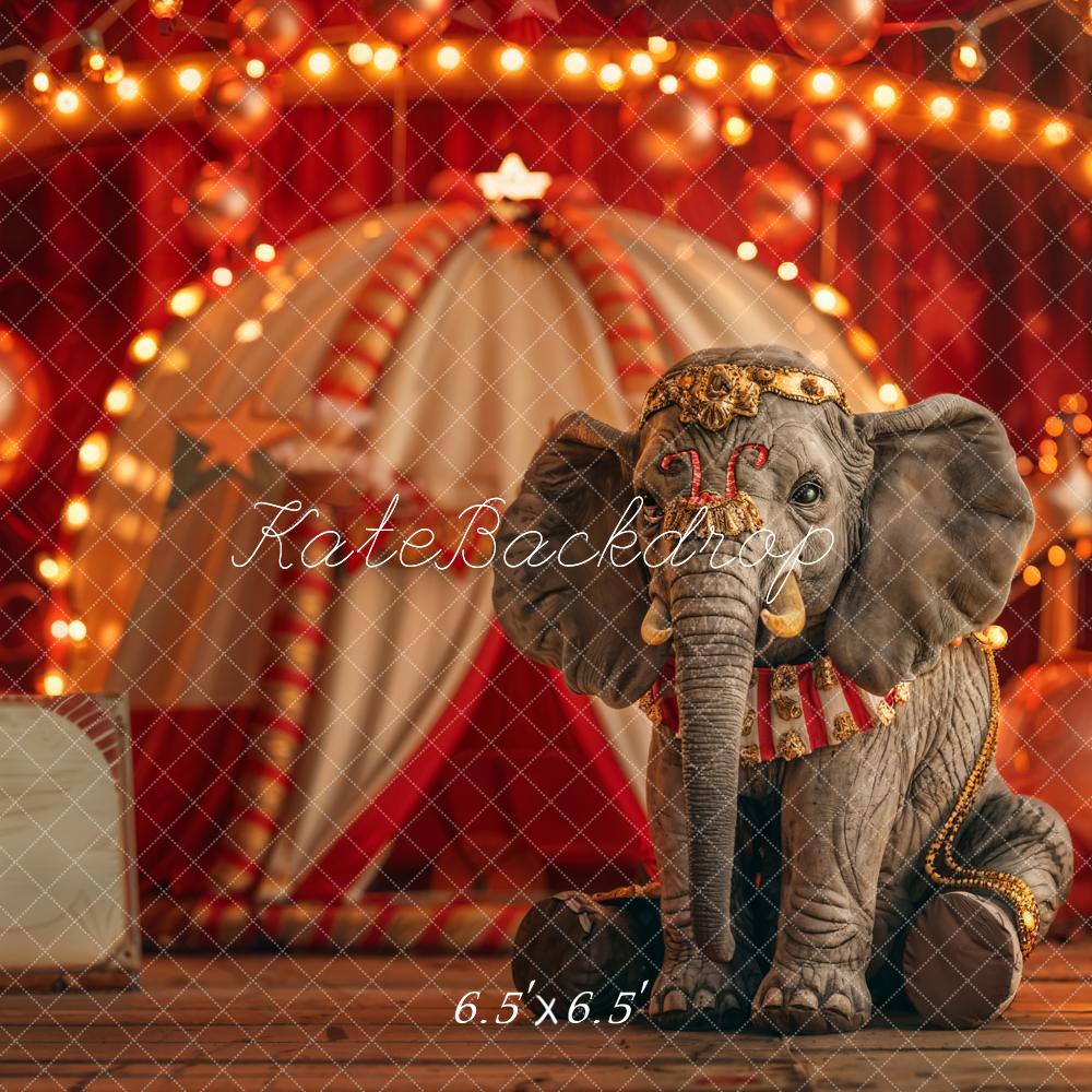Kate Rouge Carnaval Cirque Éléphant Cake smash Toile de fond conçue par Emetselch - Kate Backdrop FR