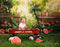 Kate Été Bokeh Plante verte Fleurs Pastèque Clôture Toile de fond conçue par Emetselch - Kate Backdrop FR