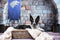 Kate Mur de pierre Arche Gris Toile de fond conçue par Megan Leigh - Kate Backdrop FR