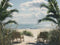 Kate Plage Mer Plante Paysage Été Toile de fond Conçu par Happy Squirrel Design - Kate Backdrop FR