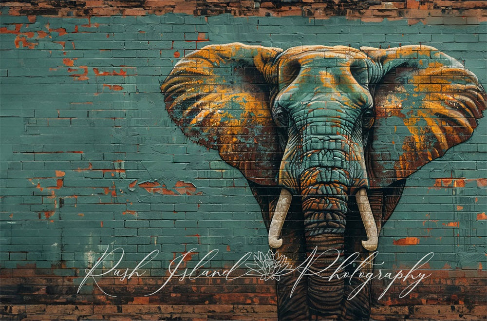 Kate Éléphant Mur de briques Graffiti Toile de fond conçue par Laura Bybee - Kate Backdrop FR